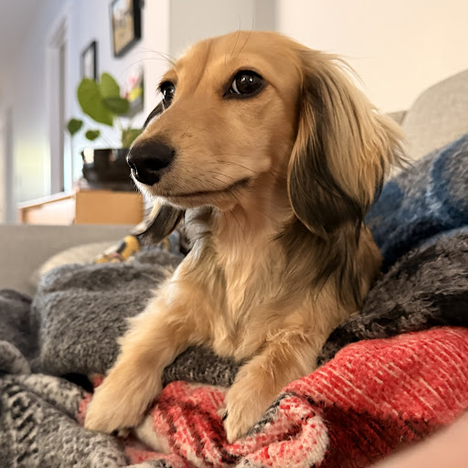 Tohru Hounda lifestyle